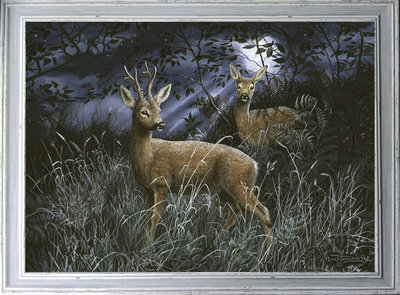 Image of By the Light of the Moon ~ Roe Deer Pair